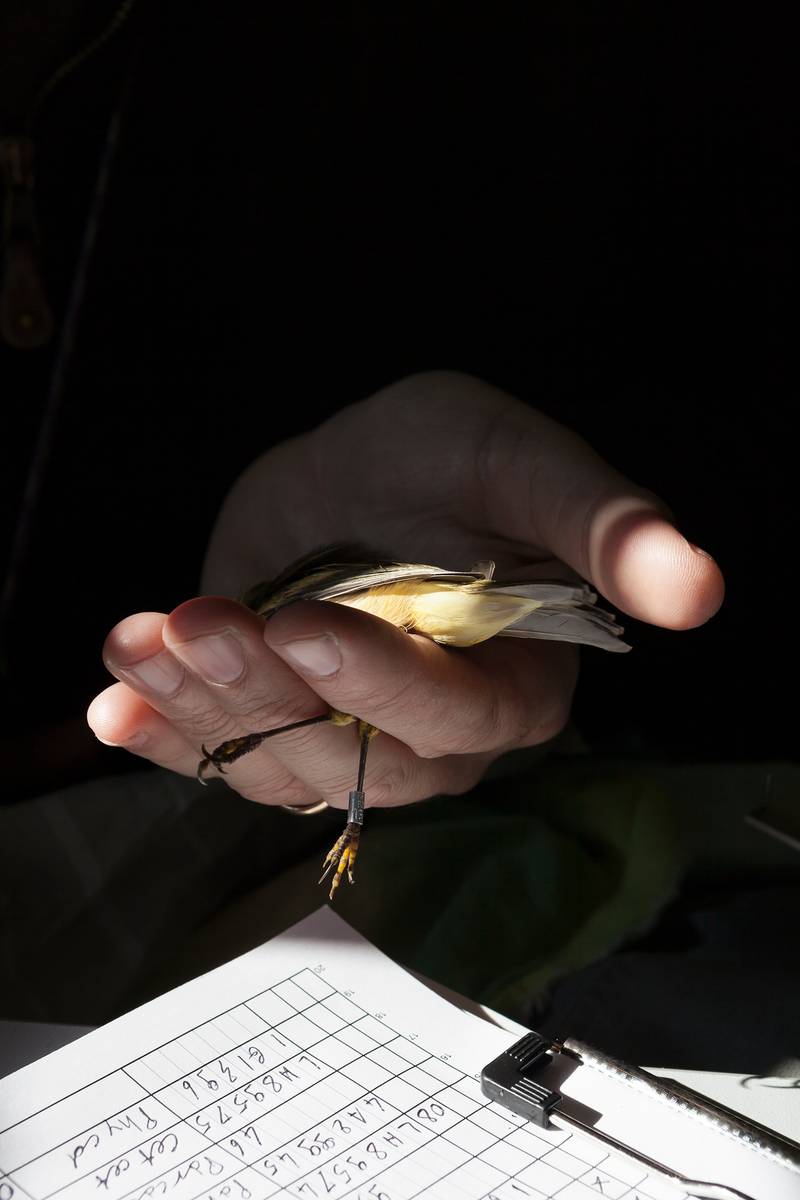 No alt was provided yet.