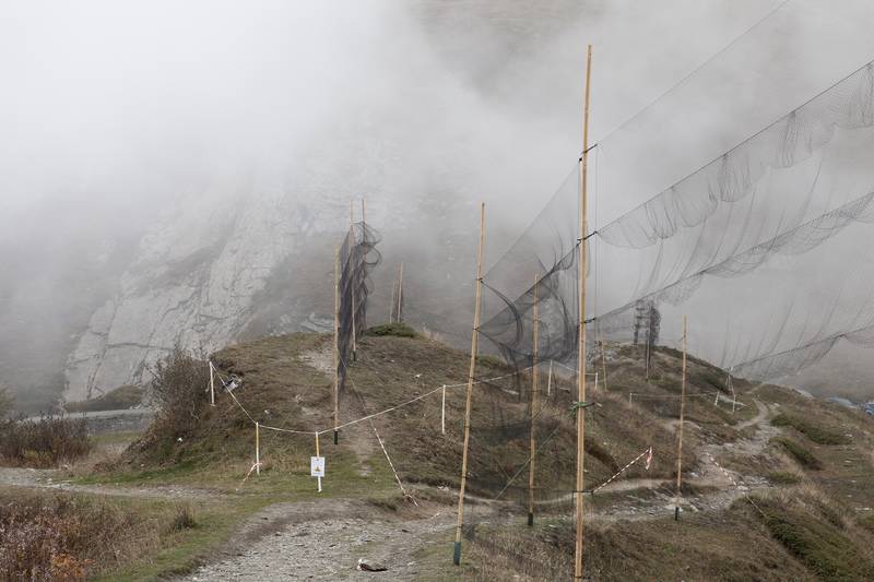 No alt was provided yet.