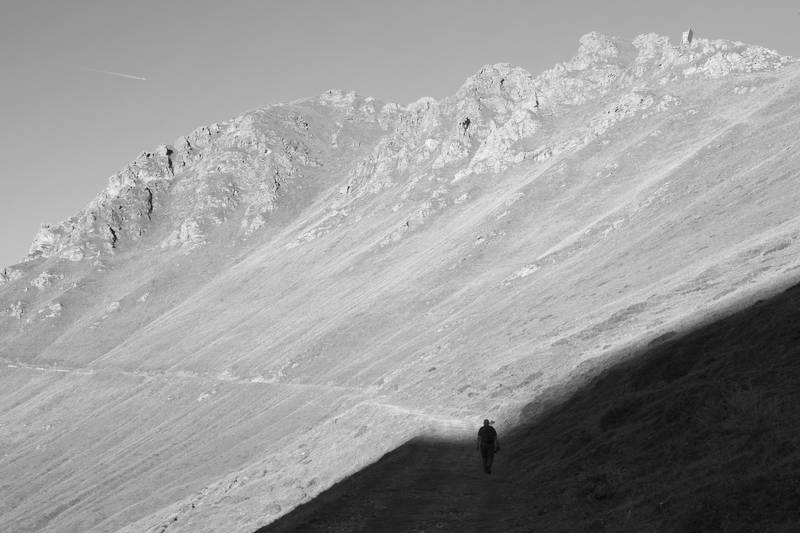 No alt was provided yet.