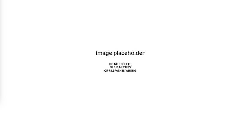 No alt was provided yet.