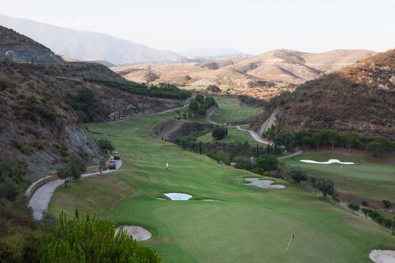 No alt was provided yet.