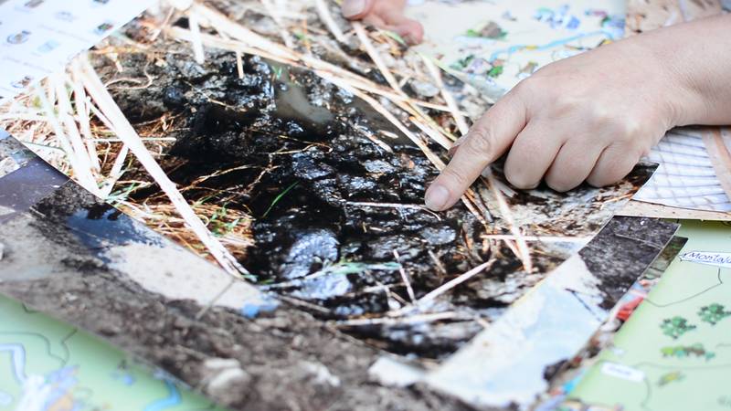 No alt was provided yet.