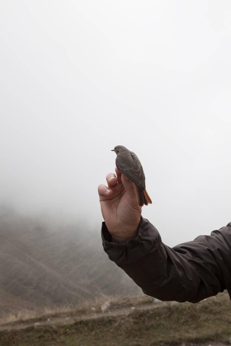 No alt was provided yet.