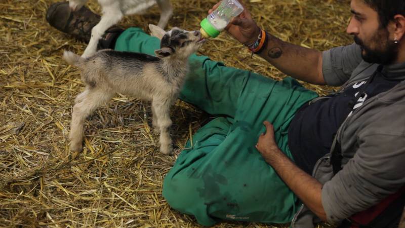 No alt was provided yet.