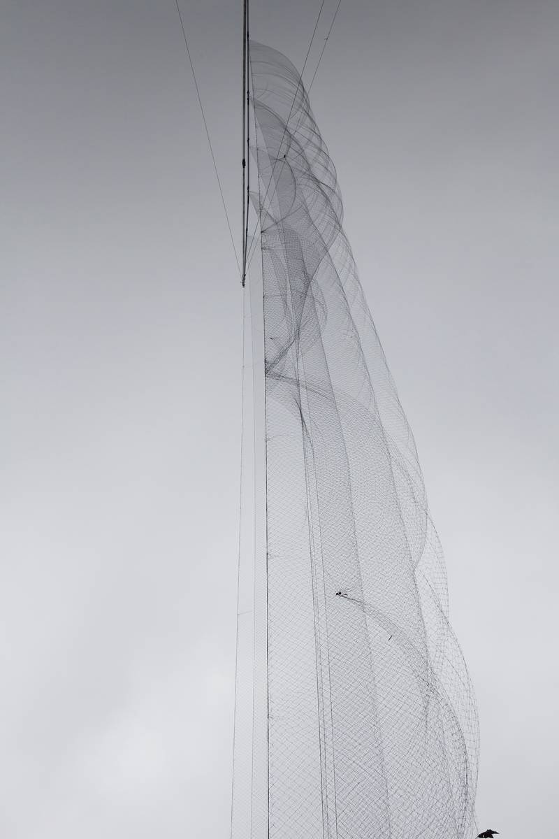 No alt was provided yet.